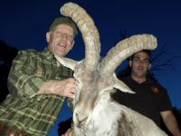 southeastern spanish ibex