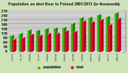 Population and shot Wild Boar in Poland
